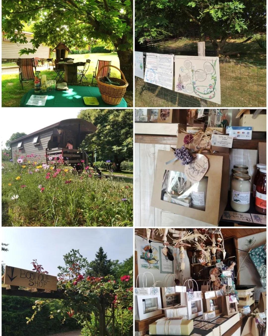 Hotel Roulotte Irlandaise Polly Saint-Vincent-en-Bresse Exterior foto
